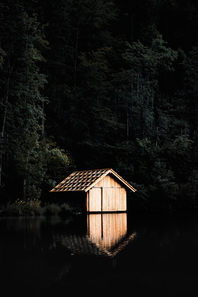 湖边的棕色木屋